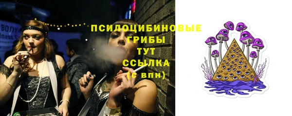 дмт Балахна