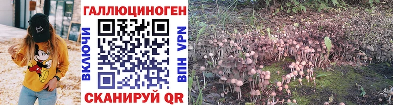 Купить закладки  Выборг  Псилоцибиновые грибы ЛСД 